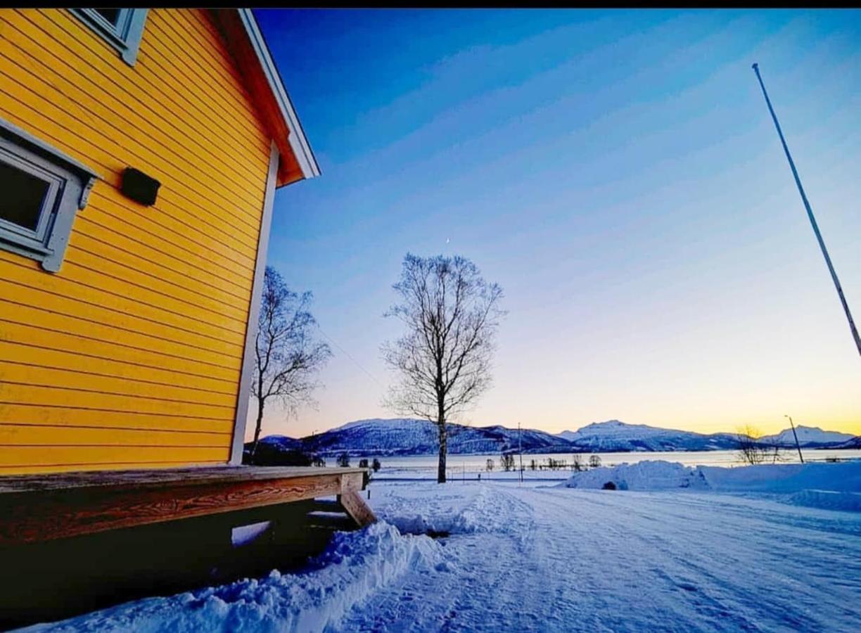 1 Room In The Yellow House, Close To Airport & Lofoten Evenskjer Eksteriør bilde